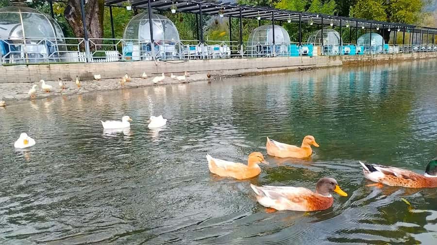 2 Days Shamakhi, Lahij, Gabala and Sheki Tour - Getting around smoothly with a private group