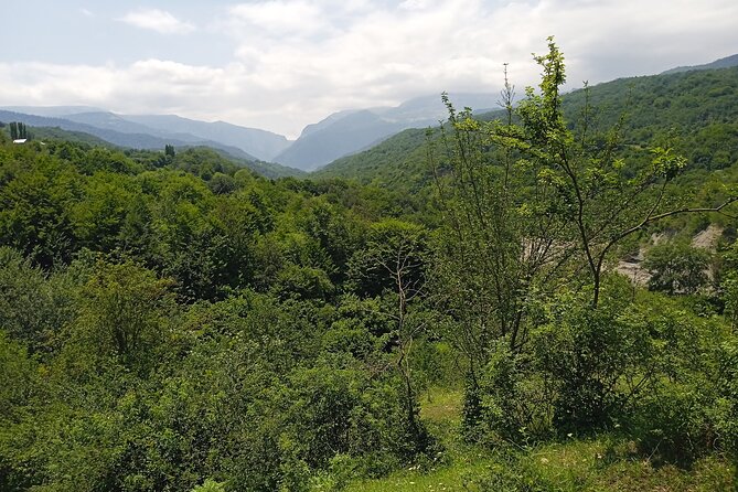 2 nights 3 days Gabala tour from Baku - The Boutique Guest House Setup You Will Actually Appreciate