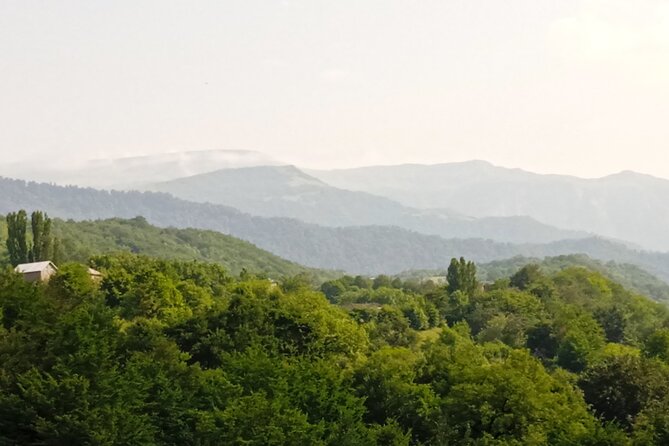 2 nights 3 days Gabala tour from Baku - Who This Tour Is Best For