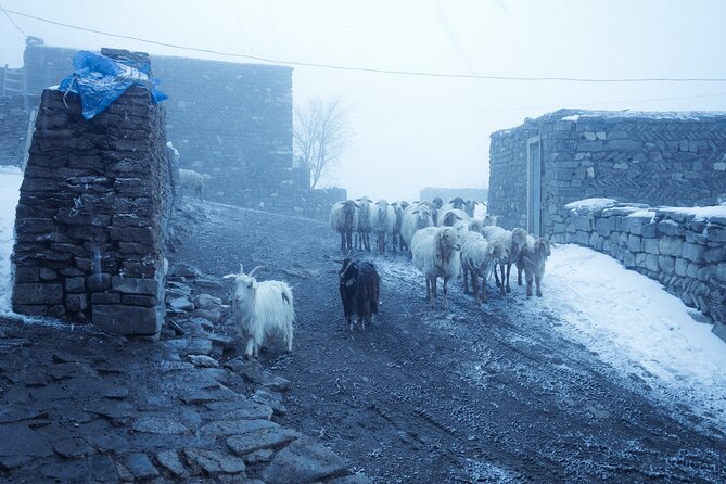3-Day Hiking & Trekking Tour Remote Villages in Guba Azerbaijan - Getting to the trailheads: pickup, timing, and the ride changes