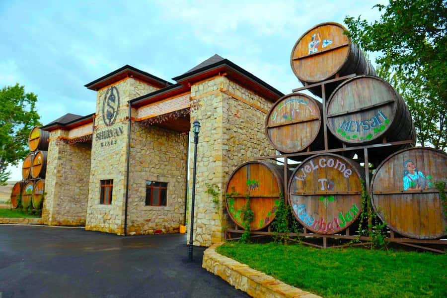 All-Inclusive Private Shamakhi Alpaca and Wine Experience - Alpaca Azerbaijan in Meysari: feeding time, safety, and photos