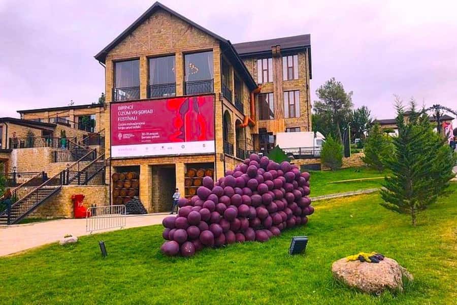 All-Inclusive Private Shamakhi Alpaca and Wine Experience - Private guide attention and the two-guide setup