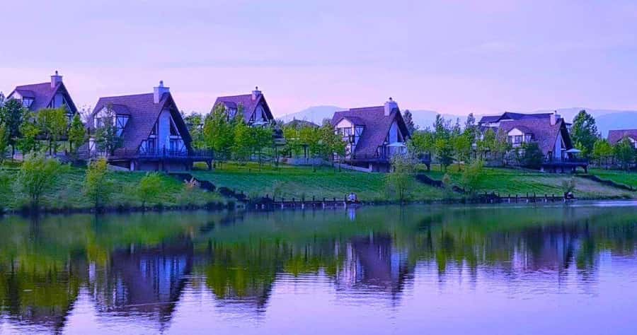All-Inclusive Private Shamakhi Alpaca and Wine Experience - Pick-up points, 90-minute transfers, and how the day flows