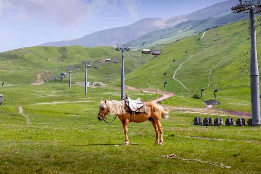 Baku: Guba, and Shahdag Adventure - Candy Cane Mountains stop: quick photos, easy payoff