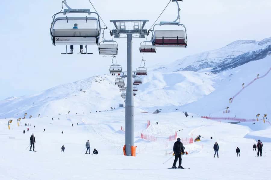 Baku: Guba, Candy Cane, and Shahdag Mountain Resort Trip - Qechresh Forest: The Breather in the Middle of a Busy Day