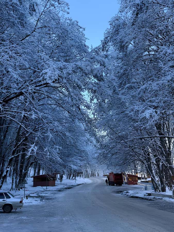 Baku: Guba, Candy Cane, and Shahdag Mountain Resort Trip - Getting From Baku: Pickup Choices and a Realistic 12-Hour Rhythm