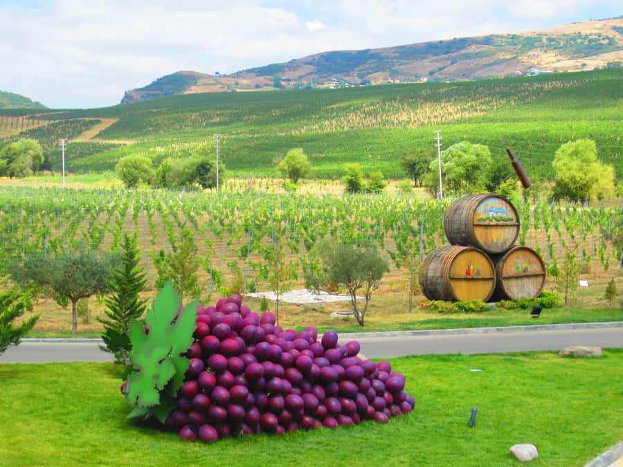 Baku: Organic Winery Tour in Shamakhi with Local Lunch - Key things to know before you go