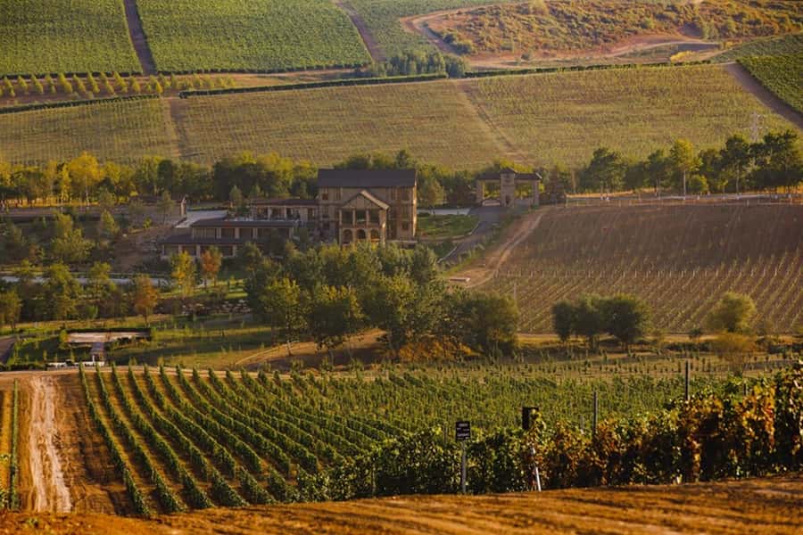 Baku: Organic Winery Tour in Shamakhi with Local Lunch - Why Shamakhi’s organic winery tour feels different