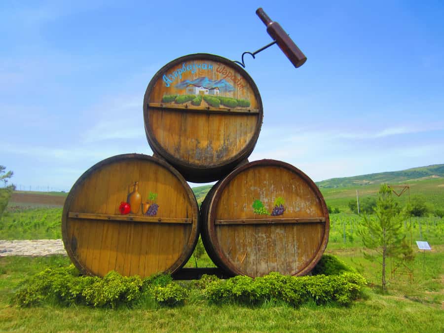 Baku: Organic Winery Tour in Shamakhi with Local Lunch - Shirvan wine tasting with cheeses: how the tasting actually works
