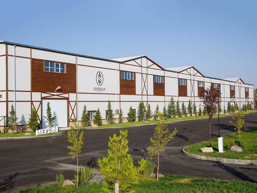 Baku: Organic Winery Tour in Shamakhi with Local Lunch - Pickup from Baku, then countryside views toward Shamakhi