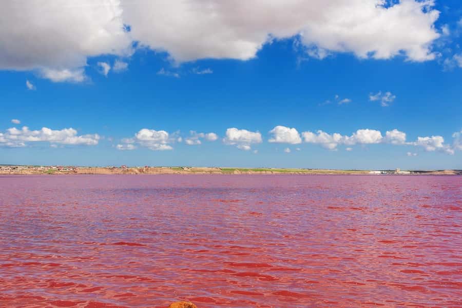 Baku: Pink Lake, Candy Cane & Beshbarmag Mountains - Why This Pink Tour Works So Well for a Day From Baku