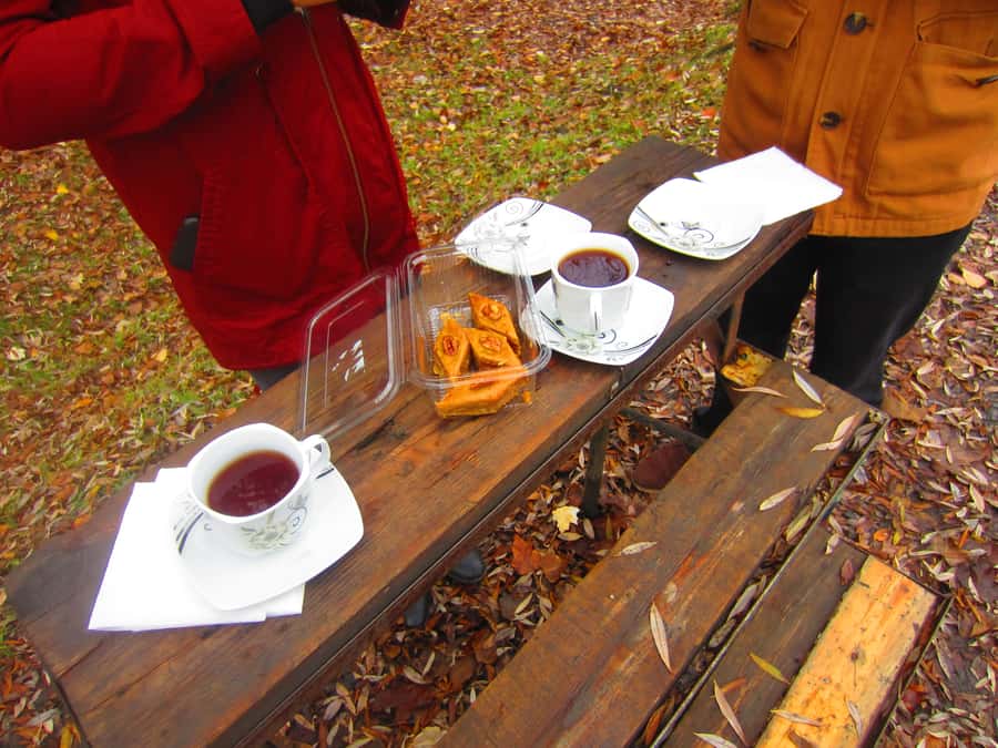 Baku: Qabala Winery Tour with Local Lunch - Price and value: is $282 worth it?