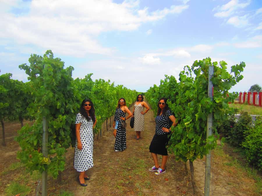 Baku: Qabala Winery Tour with Local Lunch - What the group format means for your comfort