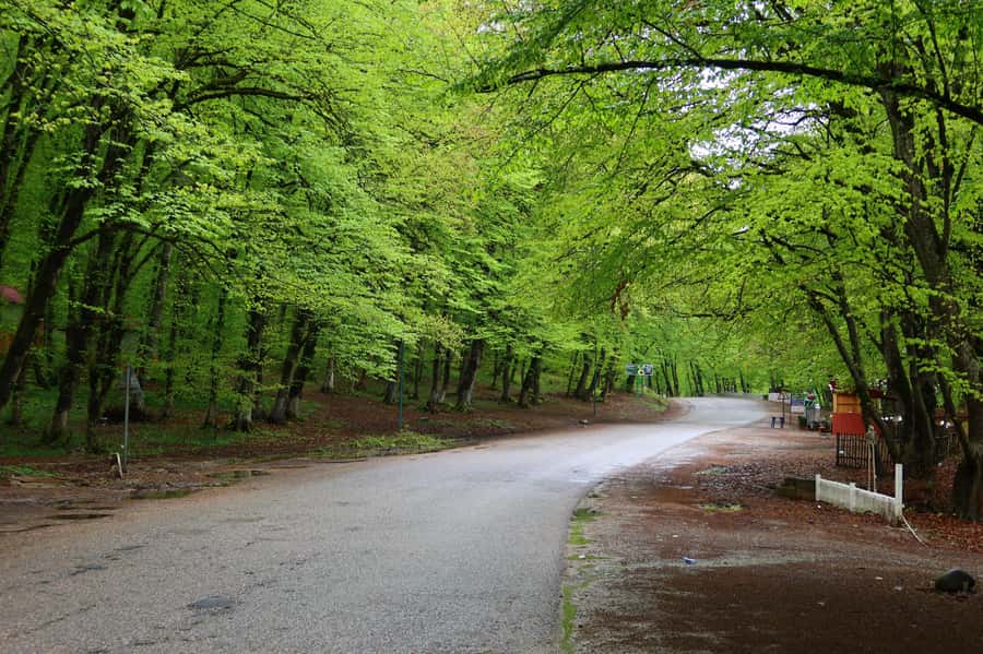 Baku: Quba Khinaliq Group Tour, Free Gobustan Absheron Tour - Gachrash (Guba forest) leisure time for a breather