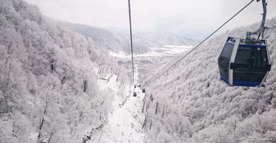 Baku: Shamakhi and Gabala Trip - Ismayilli lunch stop: a greenery break plus a filling local meal