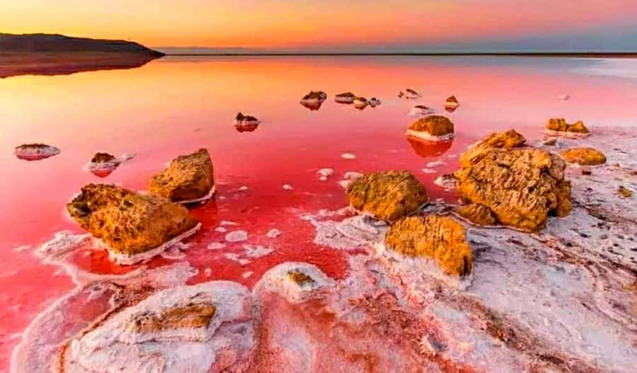 Baku: Sumgait City, Pink Lake & Vibrant Green Bazar Visit - Masazir Pink Lake: the photo stop that actually earns its fame