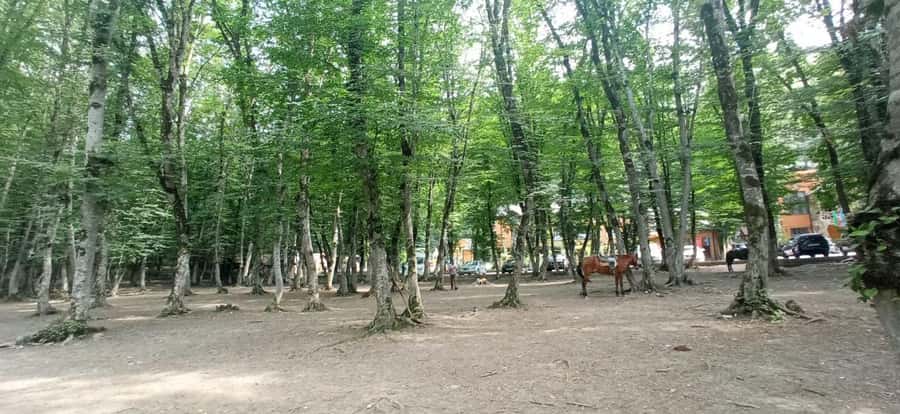 Candy Mountains - Guba - Khinaliq Guided Full Day Tour - Gachresh Forest break for regional food and mountain air