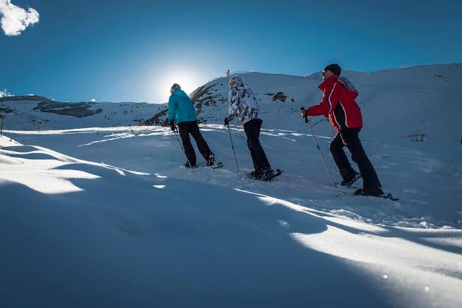 Day tour to Ski Resort to Shahdag - Private tour to Beautiful Nature - Key highlights before you go