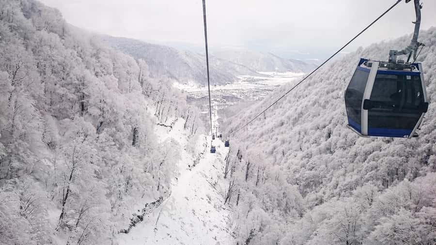From Baku: Gabala and Shamakhi Nature Tour - Price and value: $69 plus the cable car, and lunch on top