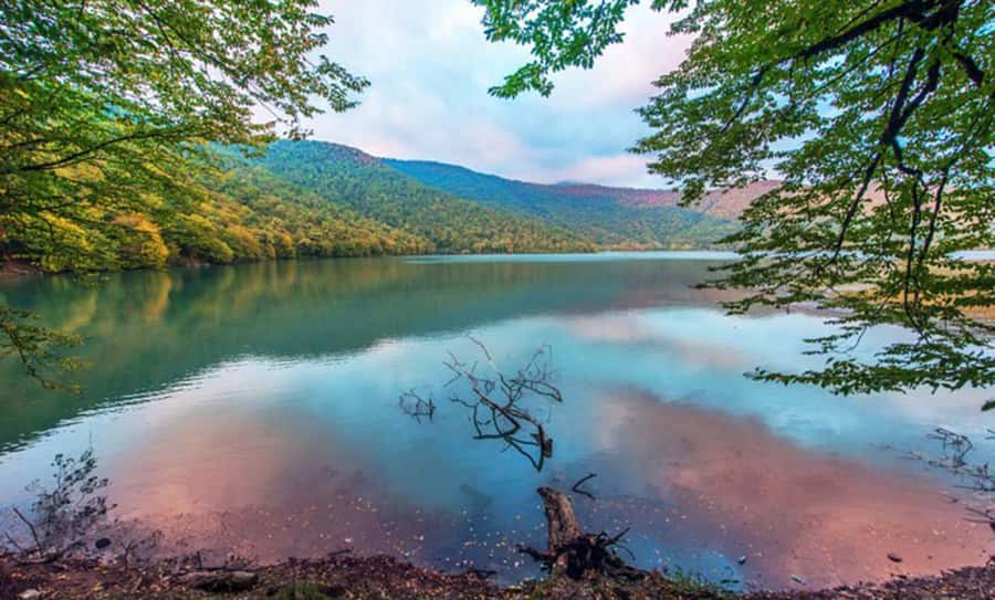From Baku: Gabala and Shamakhi Nature Tour - Group size, language, and the guide advantage