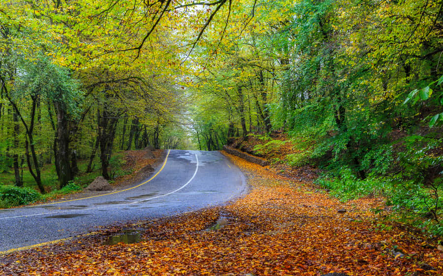 From Baku: Guba-Khinalig Day Trip - Key highlights you will actually care about
