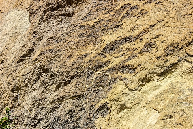 Gobustan and Mud volcanoe GROUP TOUR - Mud volcanoes near Baku: bubbling geology you can climb to