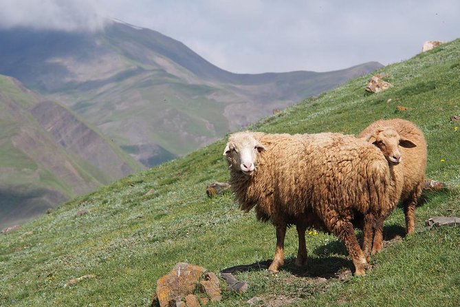 Guba and Khinaligh Private Tour - Stop 2: Khinaligh, the oldest village in Azerbaijan and its high-altitude culture