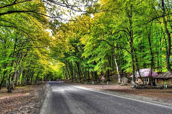 Guba Shahdag Azerbaijan Discover Nature’s Winter Wonderland - Gachrash Forest Resort break: time to reset and sort lunch