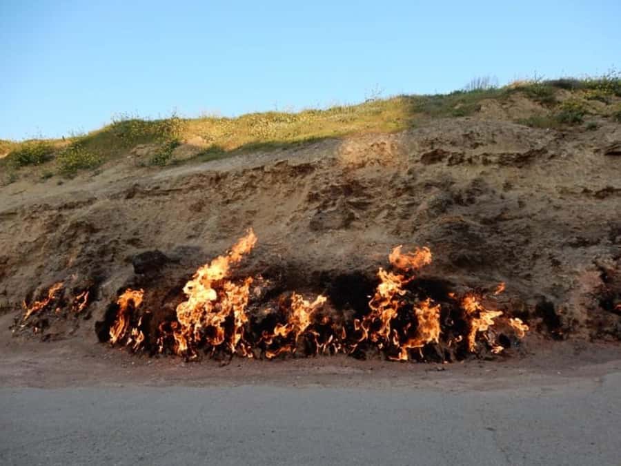 Half Day Ateshgah Fire Temple and Yanardag Private Tour - Should you book this Half Day Ateshgah Fire Temple and Yanardag Private Tour?