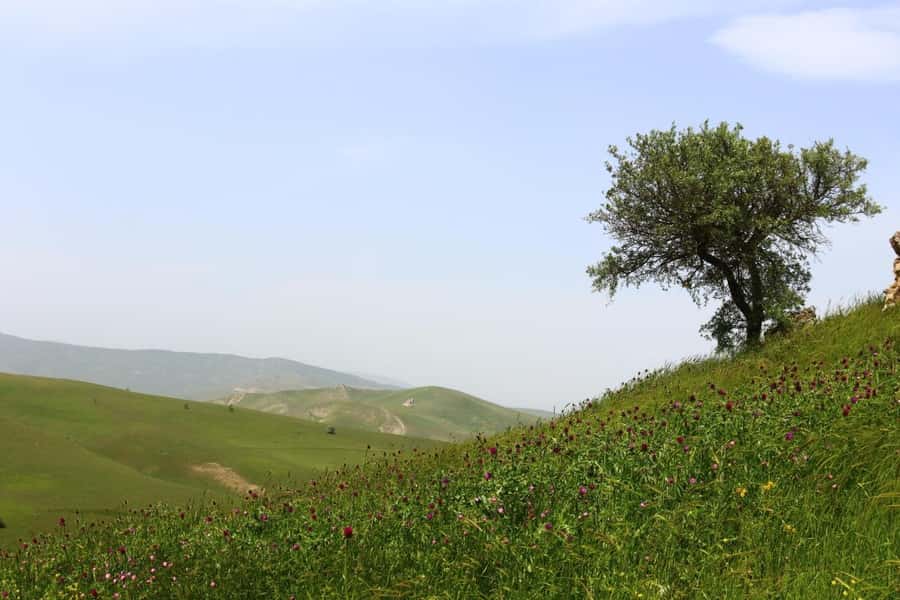 Half Day Candy Cane Mountains and Beshbarmag Private Tour - How the Route Feels: Timing, Walking, Photos, and Comfort