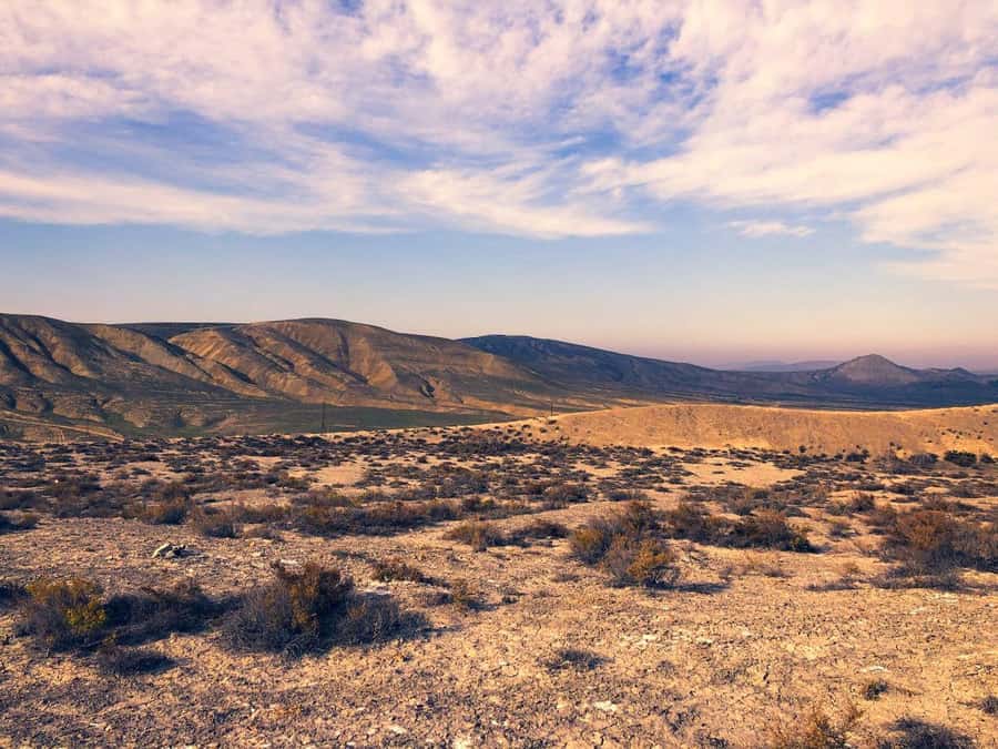 Half-Day Private Gobustan Rock Art and Mud Volcanoes Tour - Historic oil well stop: the story behind Absheron’s early energy