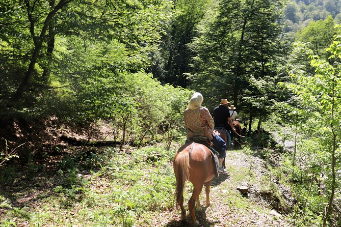 Horseback Riding in Azerbaijan - A second herbal tea in a mountain village
