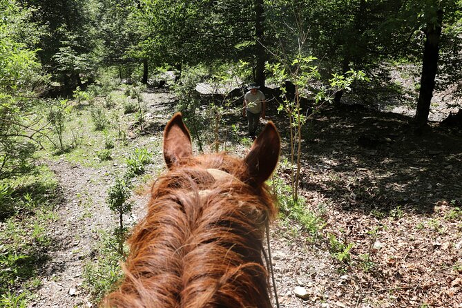 Horseback Riding in Azerbaijan - How long is it, and what should you mentally prepare for