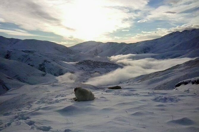 Khinalig tour - the highness mountain village of Azerbaijan - Price and value: is $137 per person a fair deal?