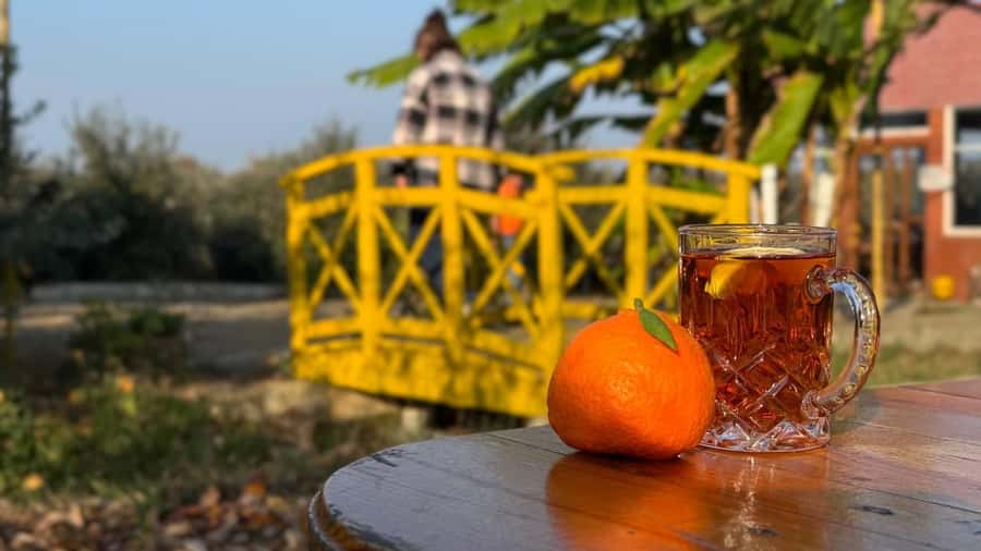 Longevity Secrets of Azerbaijan: Lankaran & Astara tour - Khanbulanchay Reservoir: the calm finale and an optional horse riding moment