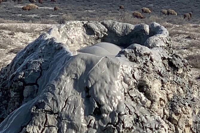 Mud Volcanoes & Gobustan Private Tour - Dashgil Mud Volcanoes: Watching Gurgling Clay and Climbing Toward the Crater