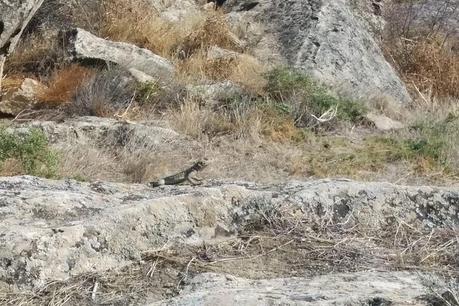 Private Gobustan Tour - Mud volcanos: how the taxi inclusion changes the day
