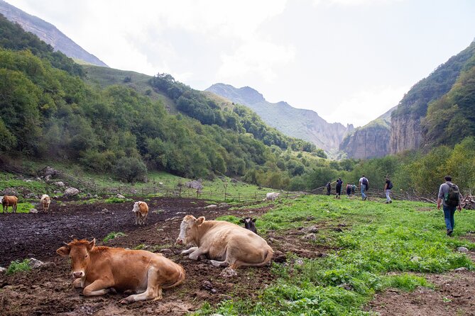 Private Hike through Magic Valley to Laza waterfalls - Kuzun village to the forest trail: the main hike challenge
