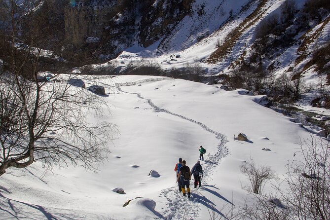 Private Hike through Magic Valley to Laza waterfalls - Twin waterfalls near Laza: frozen in winter, unforgettable when flowing