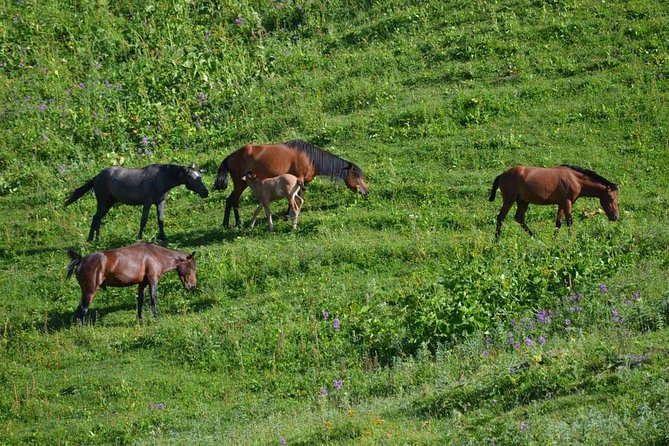 Relaxable and Knowledgeable 9 days Tour in Azerbaijan - Key highlights you should care about