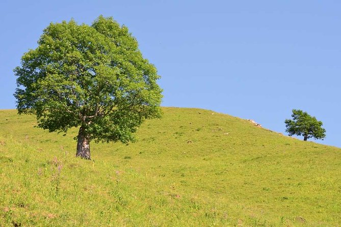 Relaxable and Knowledgeable 9 days Tour in Azerbaijan - Absheron day trips: castles, a tower, and a museum that’s about recycling