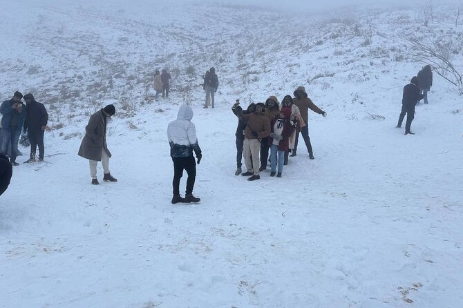Shahdag Tour and Candy Cane Mountains tour - What the Small Group Experience Feels Like
