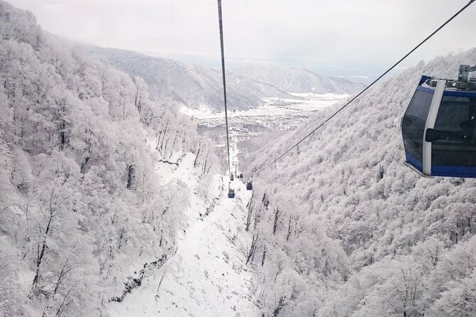 Shahdag Tour: Explore Azerbaijan’s Majestic Mountains - From Baku To Shahdag: Why This Trip Works