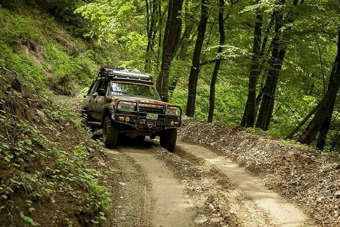Sheki Adventure Nature Private Tour (Zipline, ATV, Off-road) - Who this tour fits best