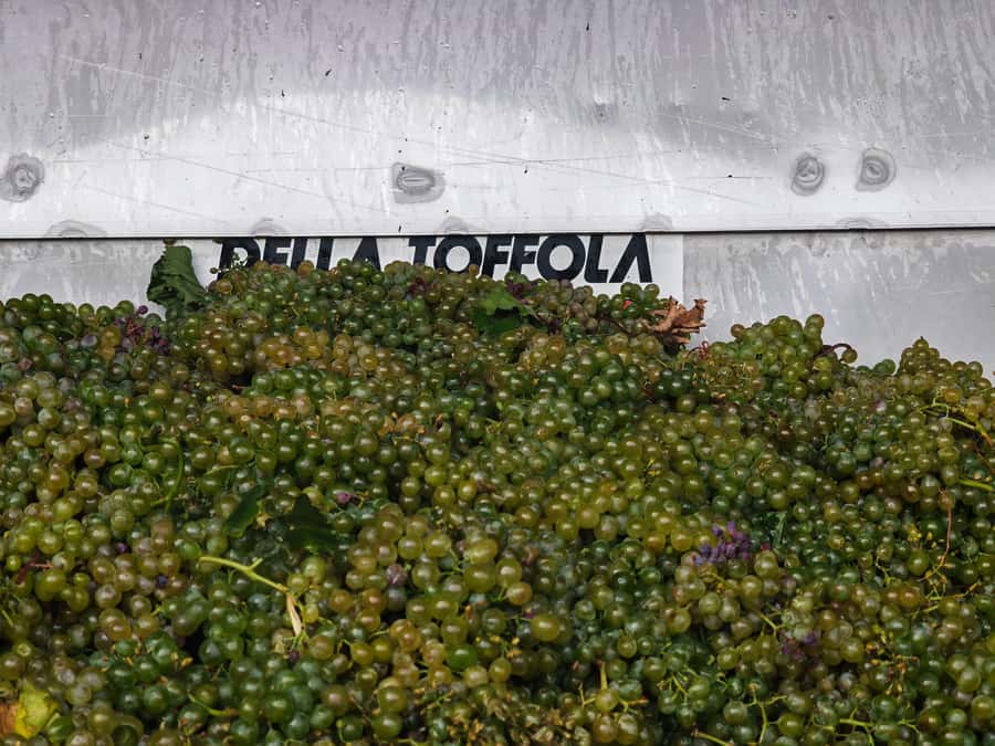 Sparkling Wine tour Sheki with All meals included - Who this tour is best for (and who should skip it)