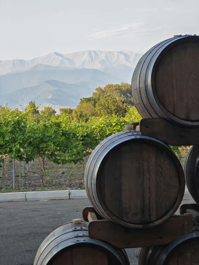Sparkling Wine tour Sheki with All meals included - Should you book this sparkling wine Sheki tour?