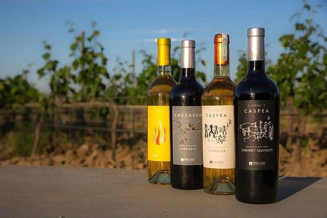 Wine Tour Baku - The winery visit in Novxanı, and why the vineyard walk matters