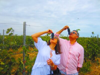 Wine Tour Baku