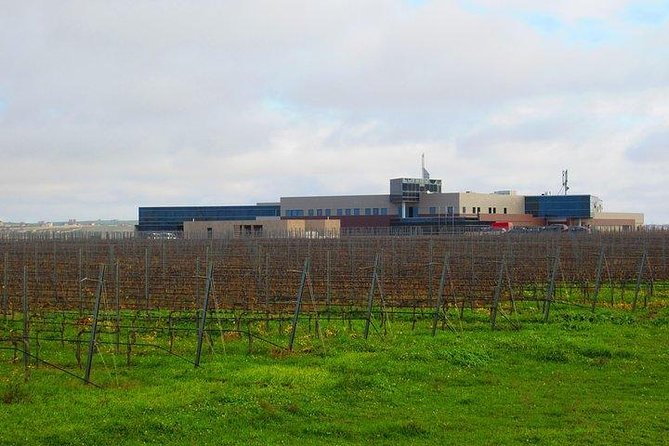 Wine Tour Baku - Timing, group feel, and the private-tour advantage