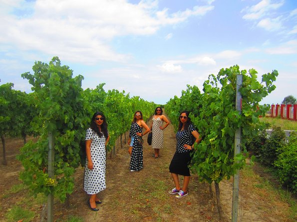 Wine Tour Qabala with Local Lunch - Savalan ASPI Winery: four tastings plus a wine museum